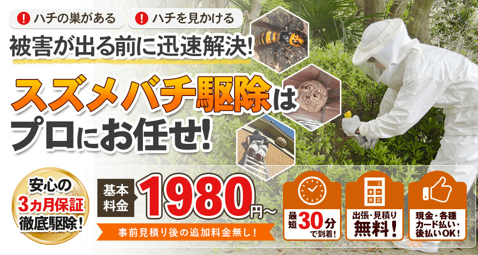 スズメバチの駆除なら ハチバスターズにおまかせ！